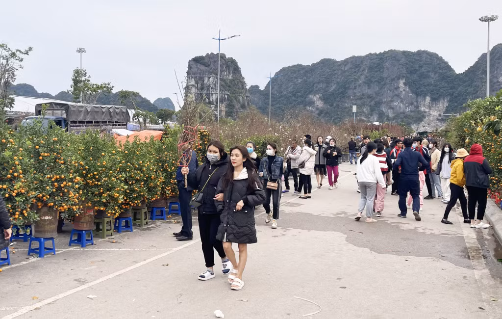 Hội chợ hoa với nhiều loại hoa, cây cảnh rực rỡ từ khắp nơi thu hút đông đảo người dân tới tham quan, mua sắm.
