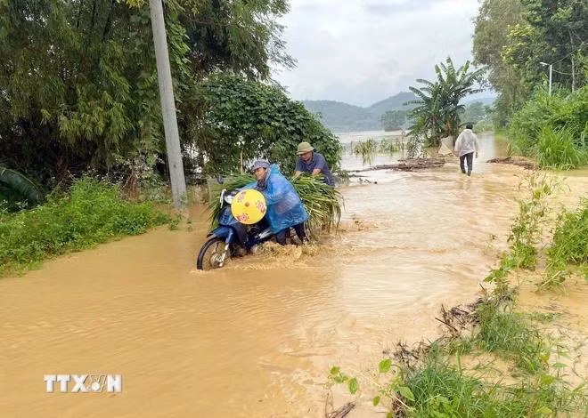 Ngập úng tại xã Tú Thịnh, huyện Sơn Dương, tỉnh Tuyên Quang. (Ảnh: TTXVN phát)