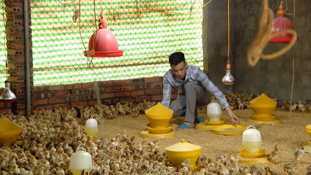 TP Uông Bí luôn tạo điều kiện về vốn để người dân phát triển sản xuất, nâng cao thu nhập, thoát nghèo bền vững.