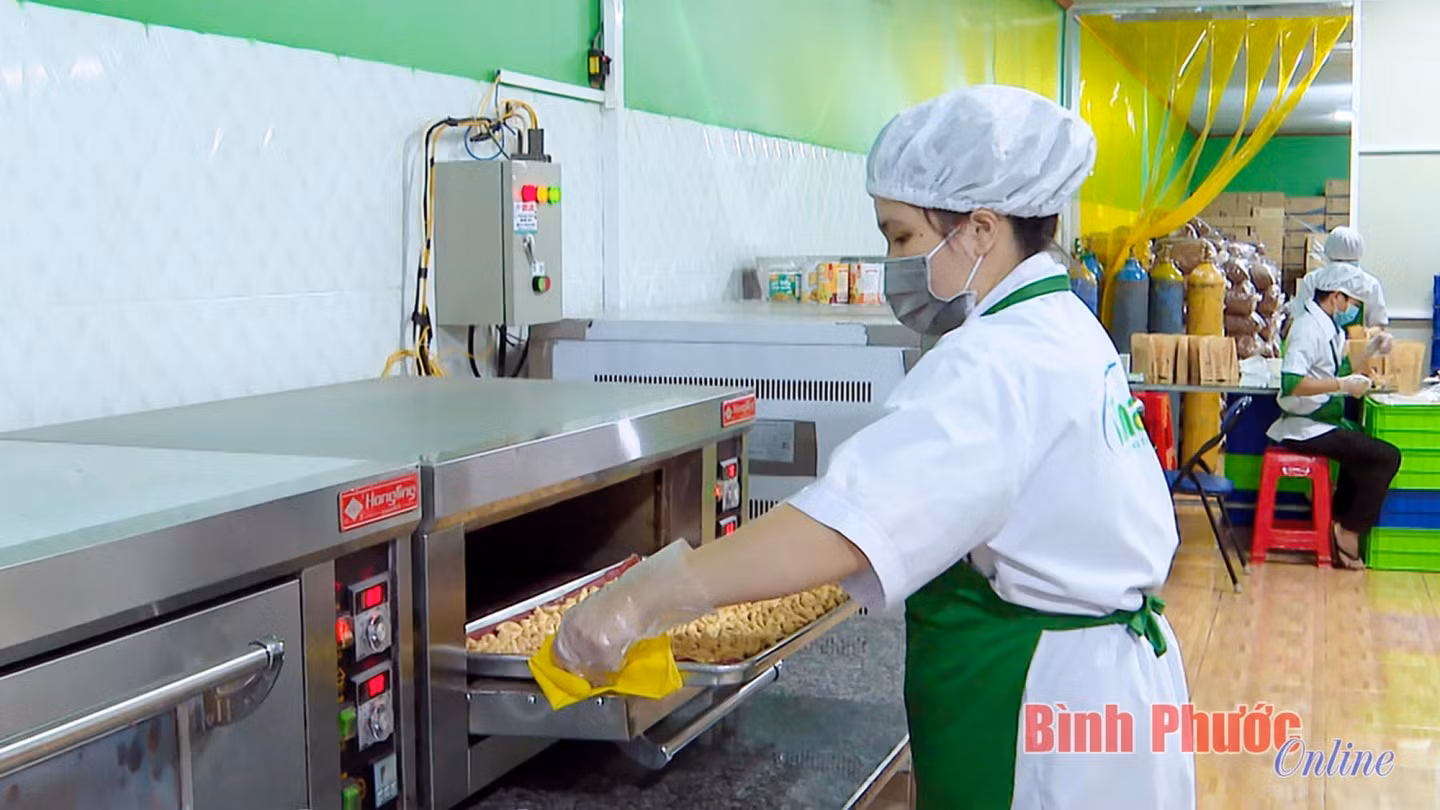 Một khâu chế biến hạt điều chuyên sâu tại Công ty THHH Vinahe (Phước Long)