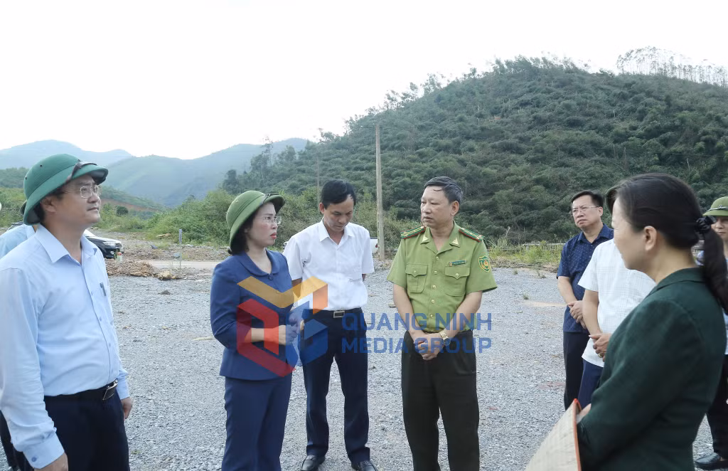 Đồng chí Phó Bí thư Thường trực Tỉnh ủy chia sẻ với những khó khăn, thiệt hại nặng nề của Công ty TNHH MTV lâm nghiệp Hoành Bồ cũng như nhiều công ty lâm nghiệp và các hộ dân trồng rừng.