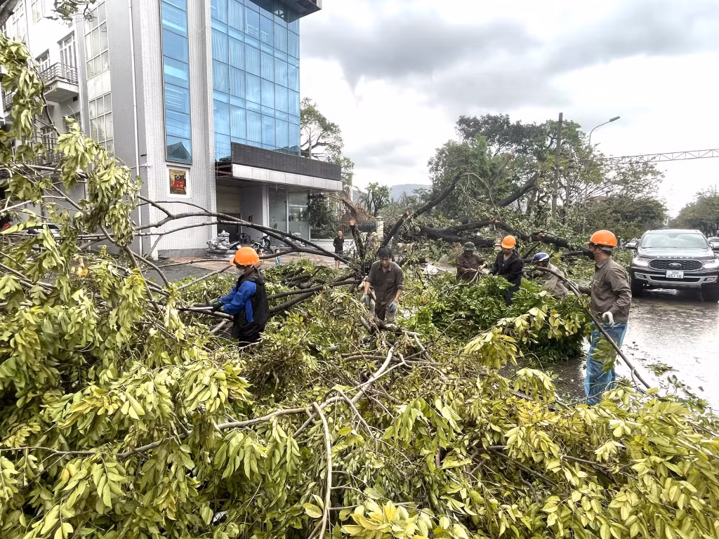 Lực lượng chức năng thu dọn cây xanh bị đổ ra đường tại phường Cẩm Thủy, TP Cẩm Phả.