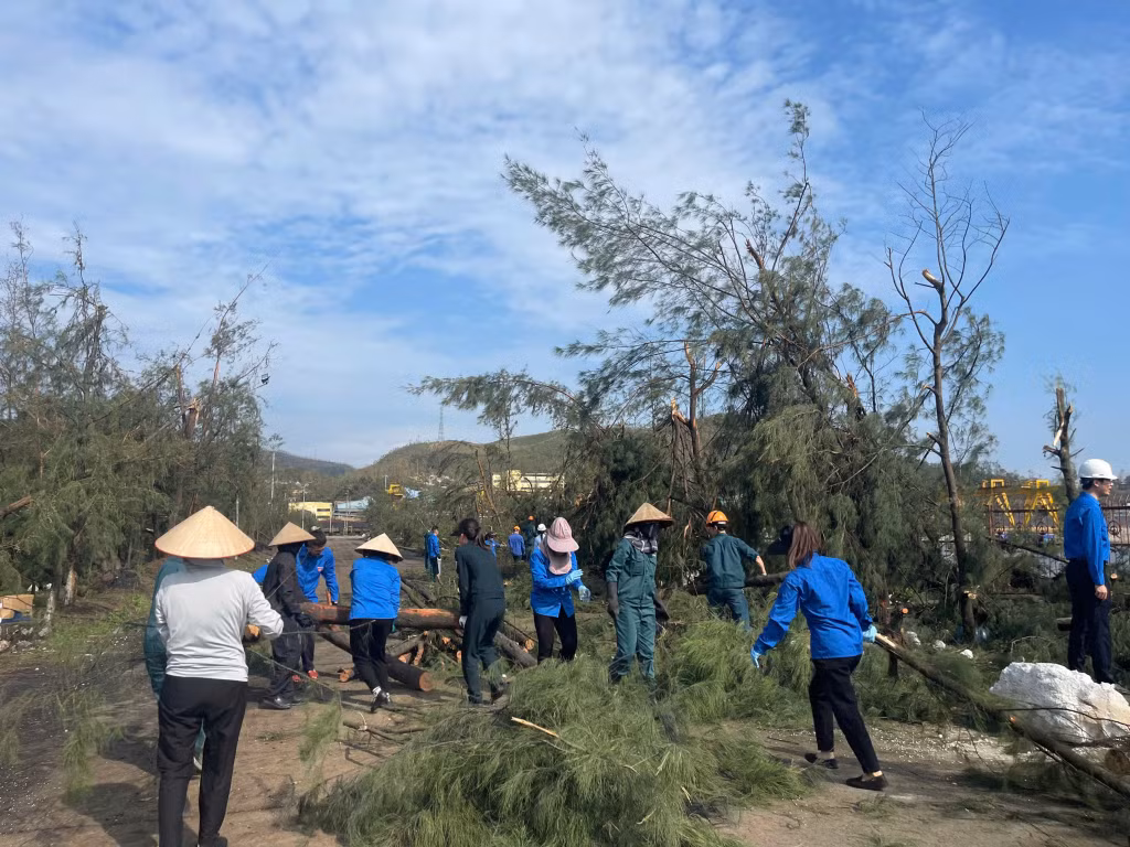 Các cây bị gãy đổ được ĐVTN cưa, cắt gọn, thu gom, phân loại và hỗ trợ đưa về nơi tập kết.