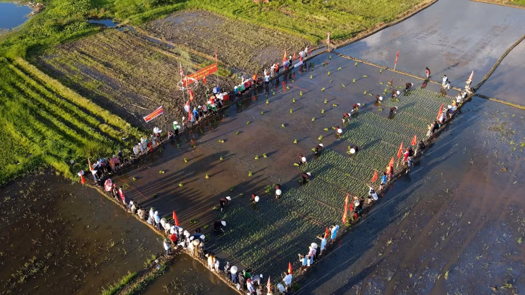 Lễ hội xuống đồng được tổ chức tại Phong Cốc vào mỗi dịp tháng 6 âm lịch hằng năm.