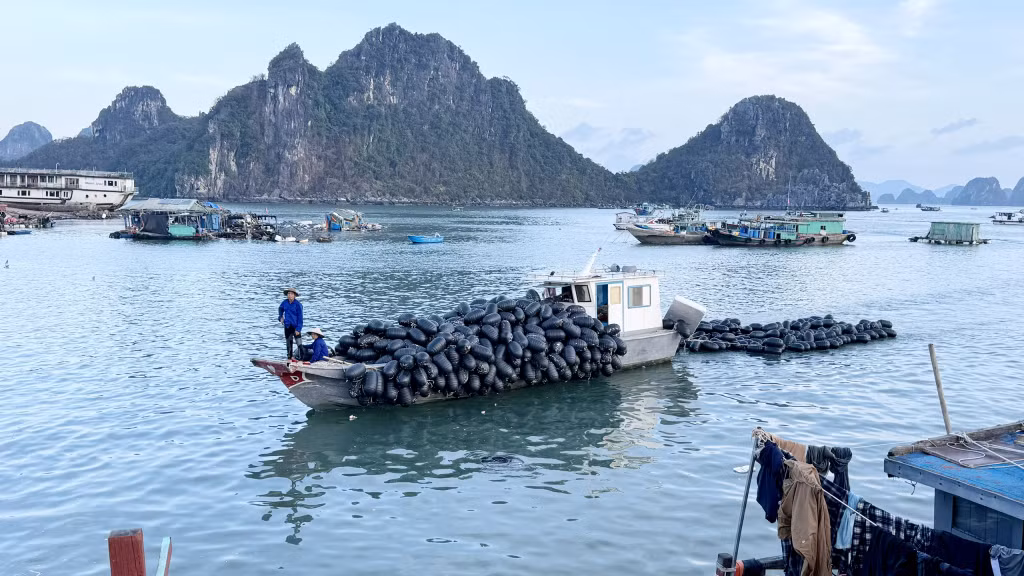 Người dân, cơ sở nuôi trồng thuỷ sản trên địa bàn huyện Vân Đồn đang rất cần nguồn vốn để khôi phục lại sản xuất sau khi bão số 3 tàn phá gần như hoàn toàn các ô lồng, bè nuôi trồng thuỷ sản.