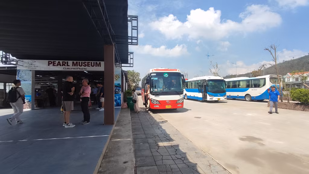 Ngay trong sáng 13/9, tại cửa hàng Mỹ Ngọc của Ngọc trai Hạ Long đã đón rất đông các đoàn khách tham quan, trải nghiệm và mua sắm.