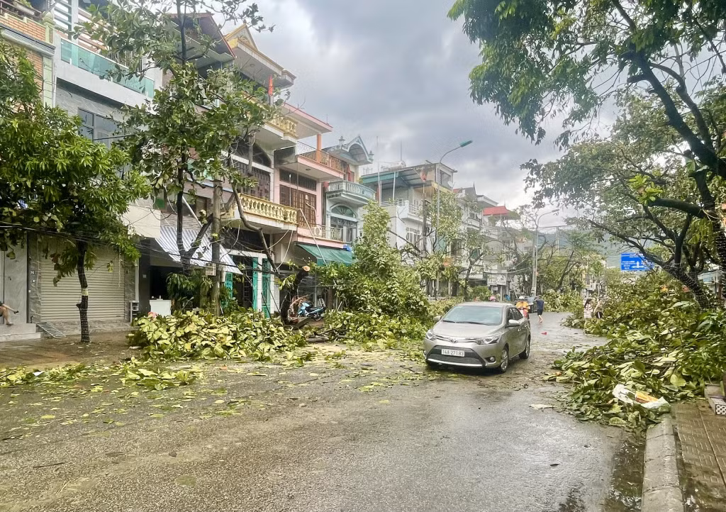 Với sự chủ động, đồng lòng của chính quyền địa phương, nhiều tuyến đường, khu phố bị ảnh hưởng giao thông do cây đổ đã được thông thoáng.