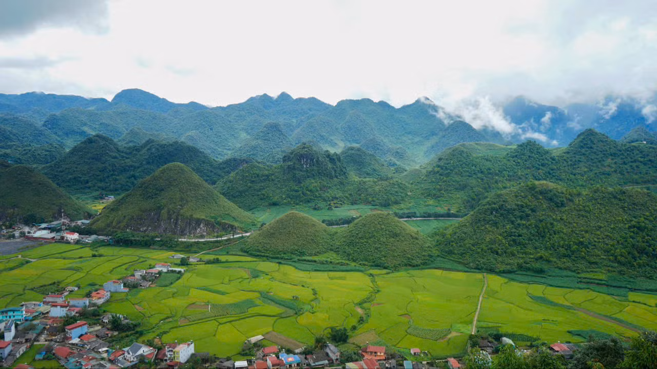 Tại khu vực núi đôi Quản Bạ, tỉnh Hà Giang, những ruộng lúa cũng bắt đầu ngả vàng. Ảnh: Định Đặng