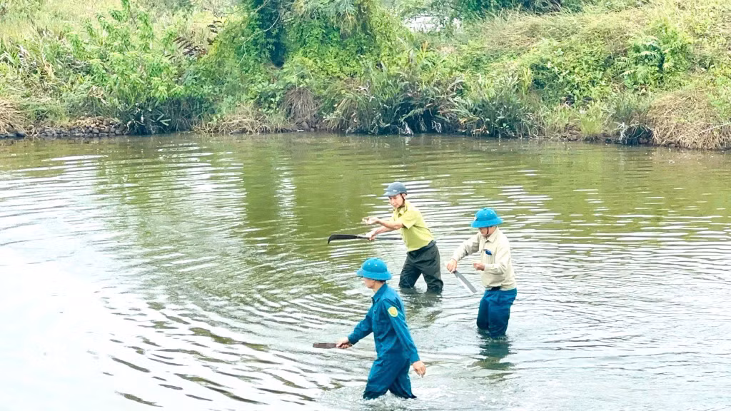Các lực lượng chức năng xử lý dụng cụ săn, bắt, bẫy chim di cư, hoang dã.