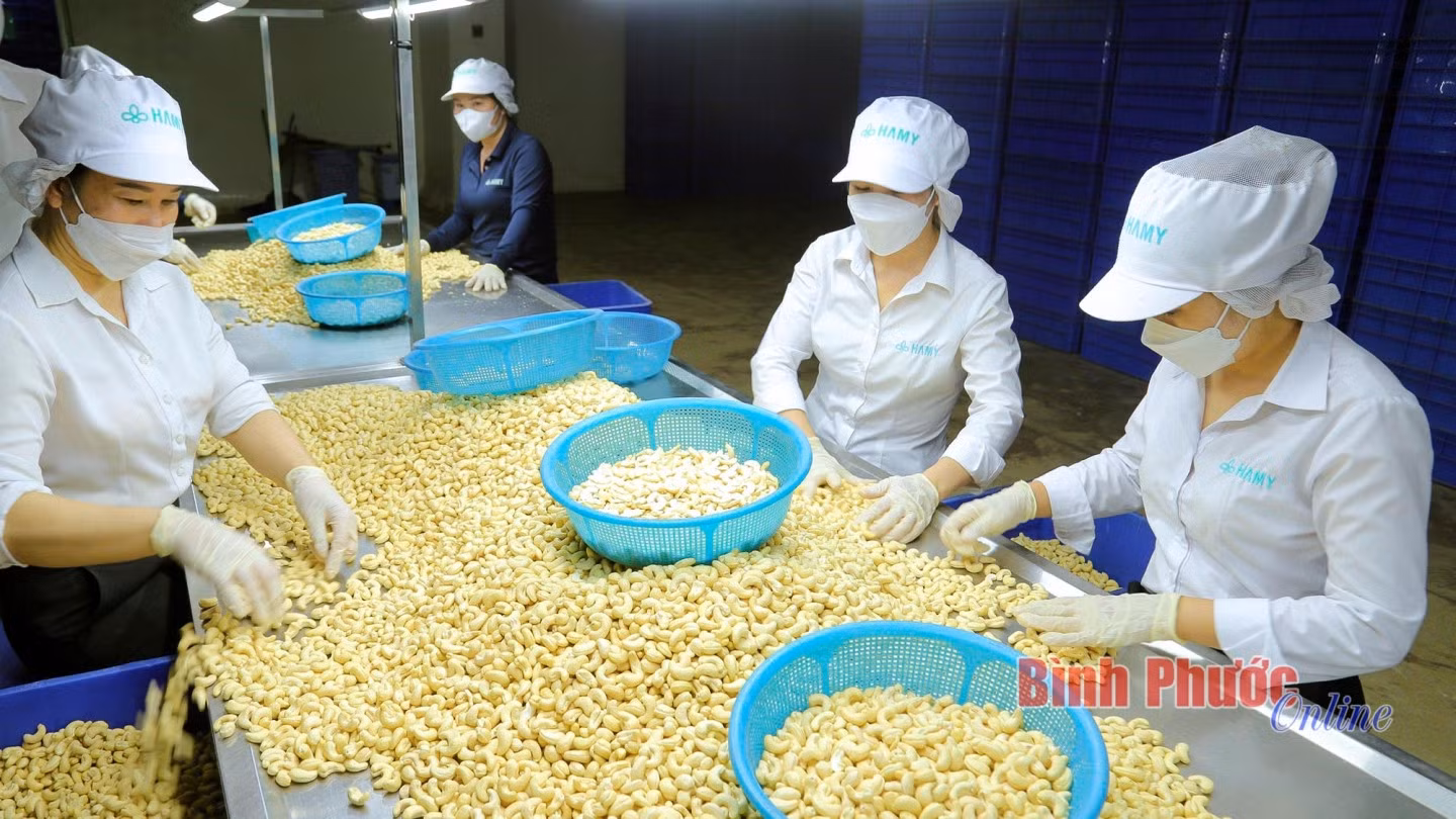 Bài 1: Nâng cao giá trị hạt điều ảnh 3