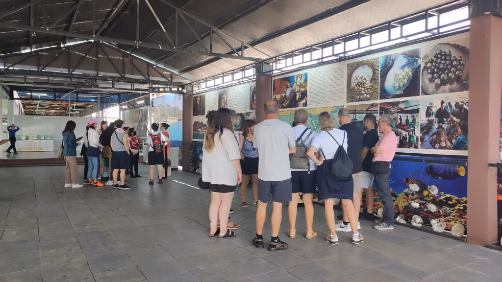 Du khách đi thành từng nhóm nhỏ để hướng dẫn viên giới thiệu về quy trình nuôi cấy ngọc trai tại Hạ Long.
