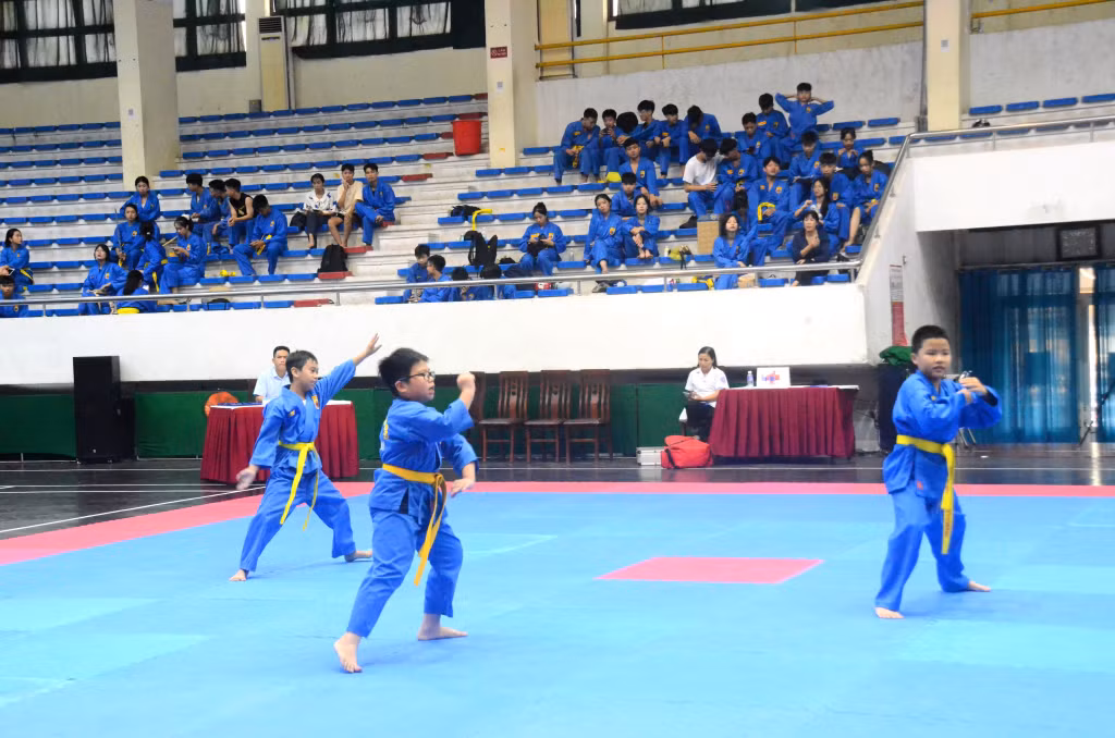 Giải vô địch Vovinam các lứa tuổi tỉnh Quảng Ninh là hoạt động nhằm phát động phong trào tập luyện thể dục thể thao, trong đó ưu tiên phát triển các môn võ dân tộc 