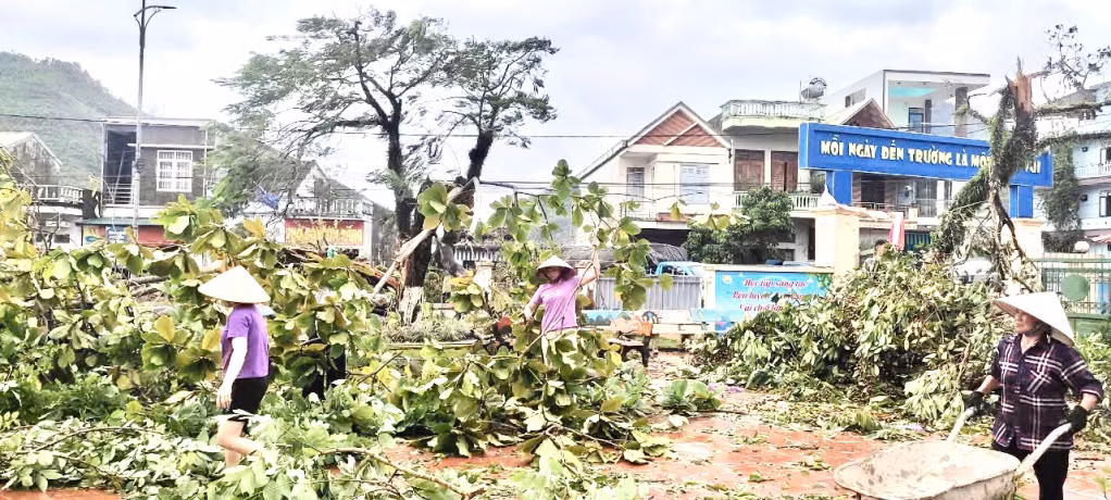 Trường Tiểu học thị trấn Ba Chẽ khẩn trương dọn dẹp cây xanh gãy đổ trong khuôn viên sân trường.