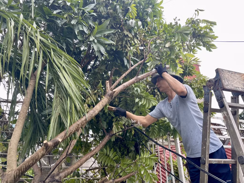 Người dân phường Cẩm Đông, TP Cẩm Phả tích cực phát tỉa cây bị đổ trước cửa nhà.