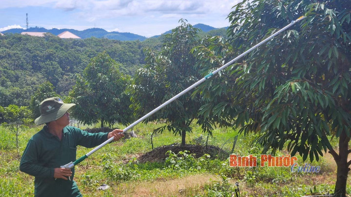 Đầu tư hệ thống năng lượng mặt trời và hệ thống tưới tự động đã giúp ông Hứa Văn Công tiết kiệm được nhân công và hướng tới sản xuất bền vững