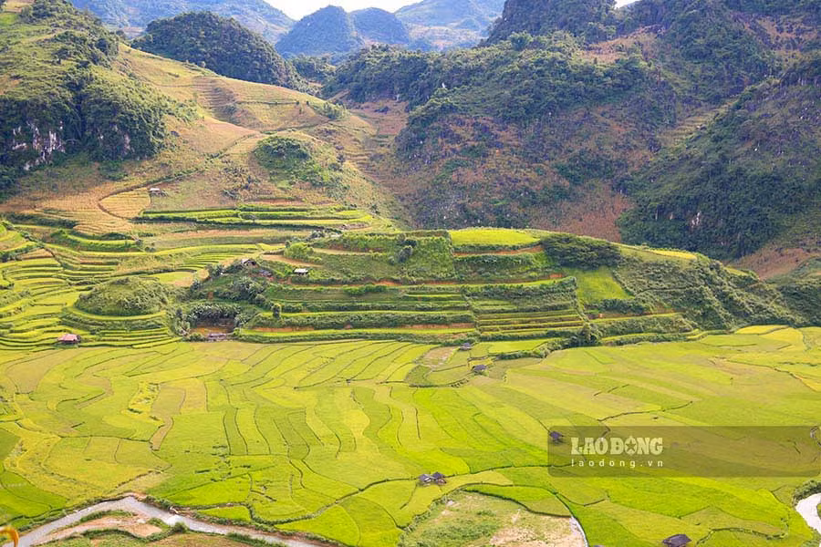 Đặc biệt, “đồi con Rùa” nằm giữa lòng cánh đồng Chiếu Tính càng làm tăng thêm vẻ độc đáo và huyền bí. Đây cũng là điểm check-in lý tưởng không thể bỏ lỡ của du khách khi tới đây.