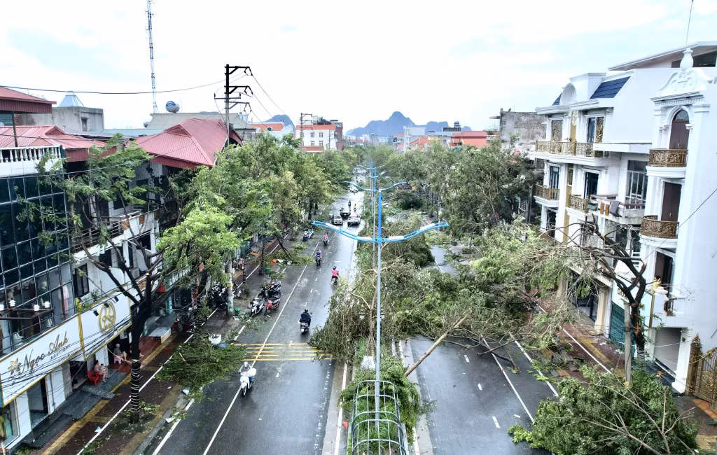8.385 cây xanh bị đổ, gãy.