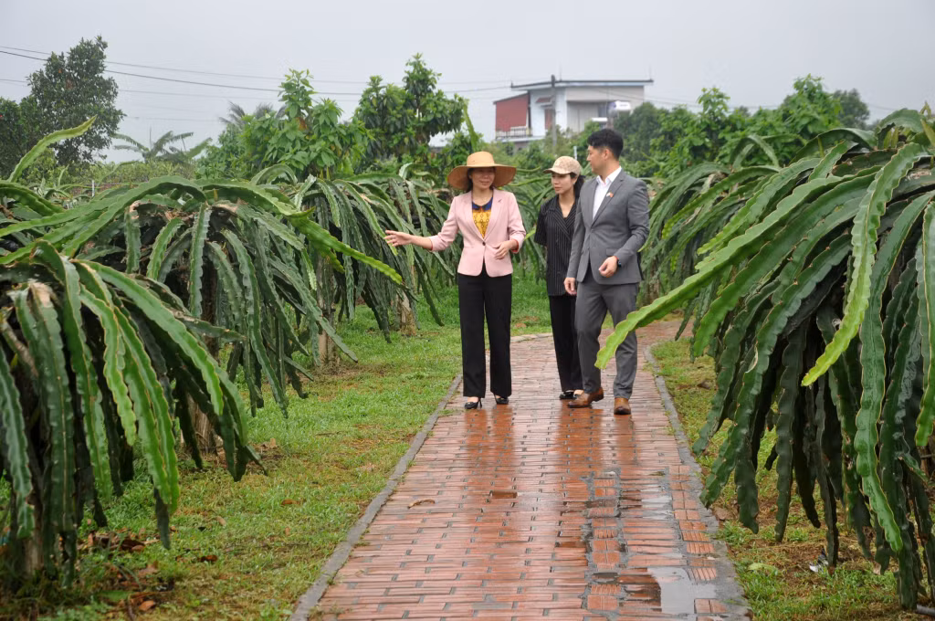 Anh Heo Su Yeong trao đổi với lãnh đạo xã Việt Dân về ý tưởng phát triển mô hình du lịch nông nghiệp trên địa bàn.