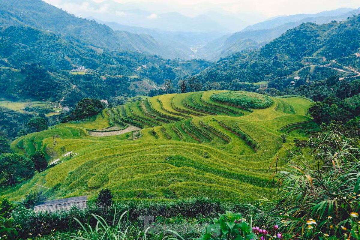 Với những ai luôn tất bật với bộn bề cuộc sống thì những ngày trải nghiệm ở Hoàng Su Phì vào mùa thu là những ngày "sống trên mây", nhẹ nhàng, chậm rãi với mùa lúa chín vàng.