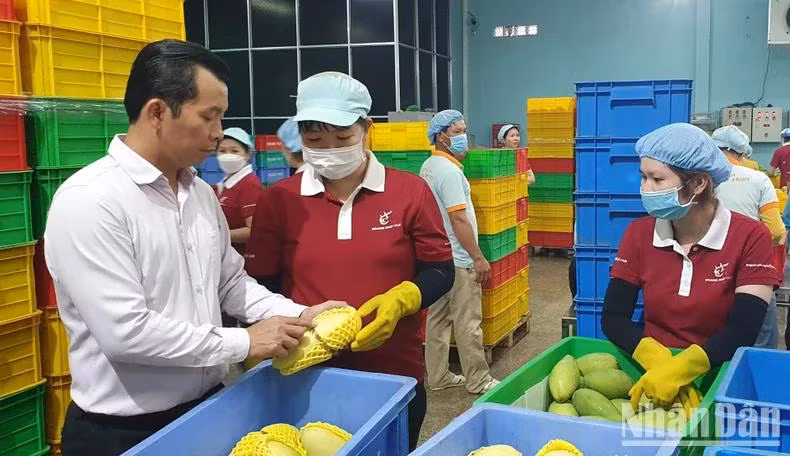 Xây dựng thương hiệu là giải pháp nâng giá trị tại EU.
