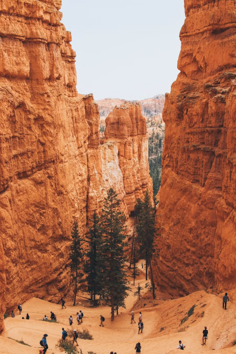 Khám phá vẻ đẹp ngỡ không có trên trần gian của công viên quốc gia Bryce Canyon (Mỹ) ảnh 2