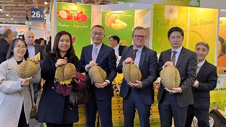 Đẩy mạnh xúc tiến thương mại, tháo gỡ khó khăn cho doanh nghiệp xuất nhập khẩu.
