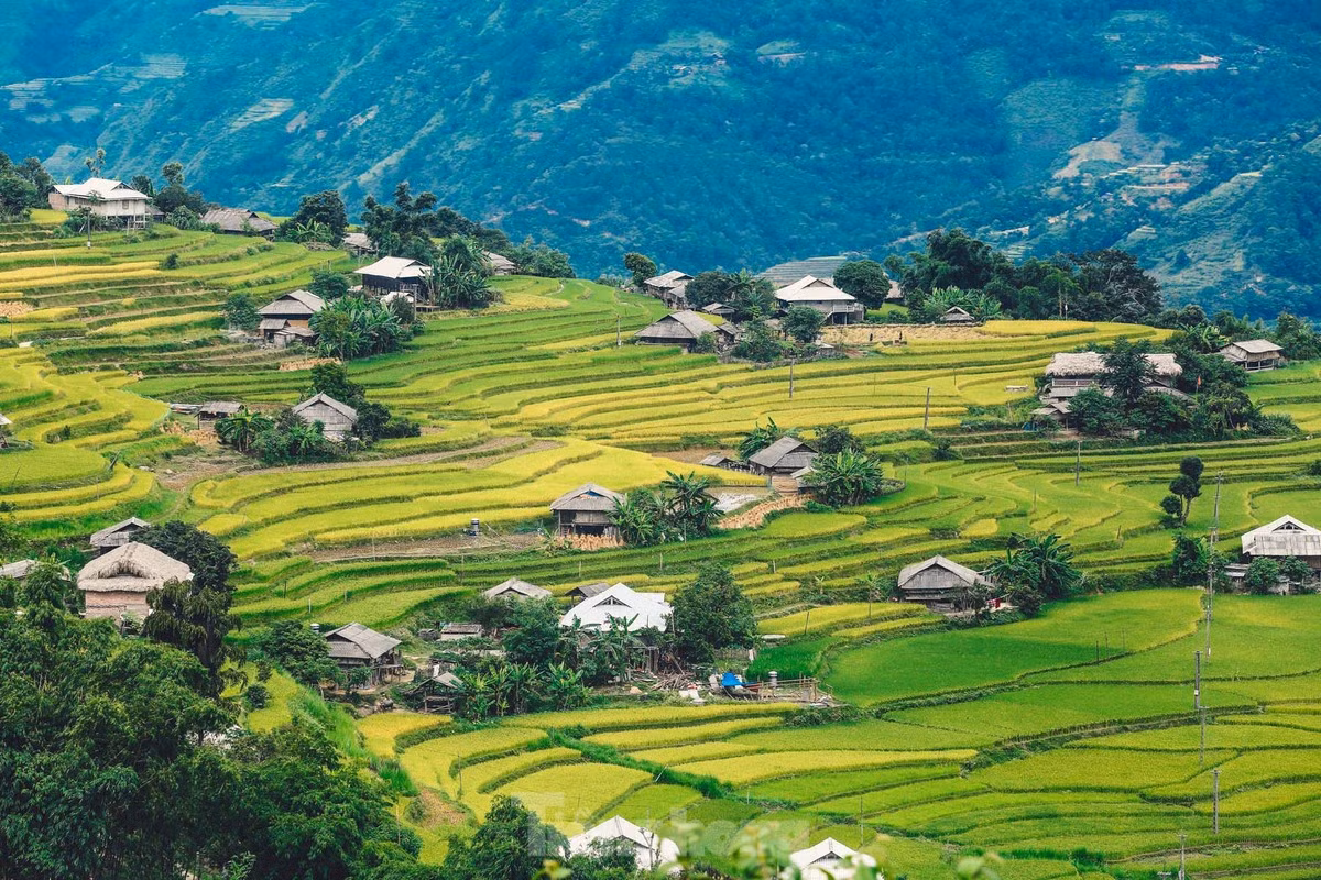 Nằm ở nơi có địa hình cao, có tới một phần ba dân số của huyện sống trong vùng rất khó khăn, kinh tế chính dựa vào nông nghiệp với định hướng trồng chè shan tuyết và thảo quả, chăn nuôi trâu bò. Tuy nhiên, ngành du lịch ở Hoàng Su Phì đã phát triển rất mạnh kể từ khi ruộng bậc thang Hoàng Su Phì được công nhận là di tích cấp quốc gia năm 2012 và trở thành điểm du lịch quan trọng của tỉnh Hà Giang.