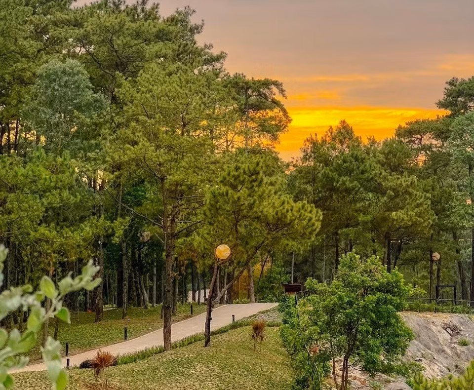 The Harmony đắm mình trong sắc vàng rực rỡ khi hoàng hôn buông xuống.