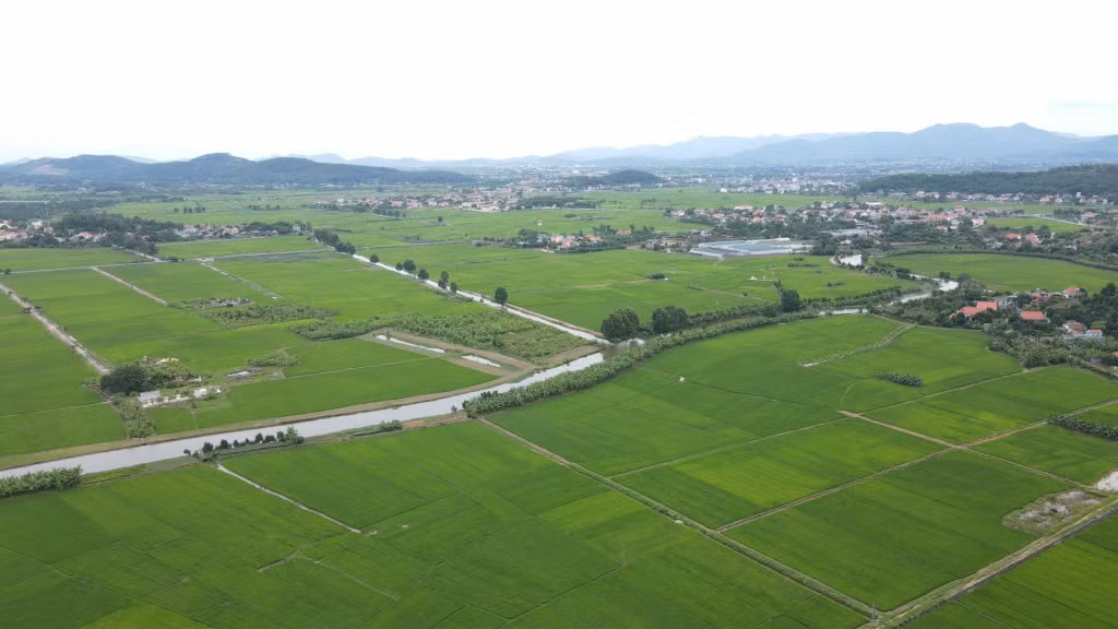 Kinh tế nông thôn Đông Triều khởi sắc nhờ chương trình xây dựng nông thôn mới.