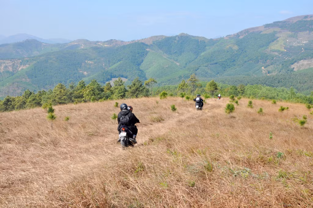Đồi Phượng Hoàng đẹp nao lòng mùa cỏ cháy.
