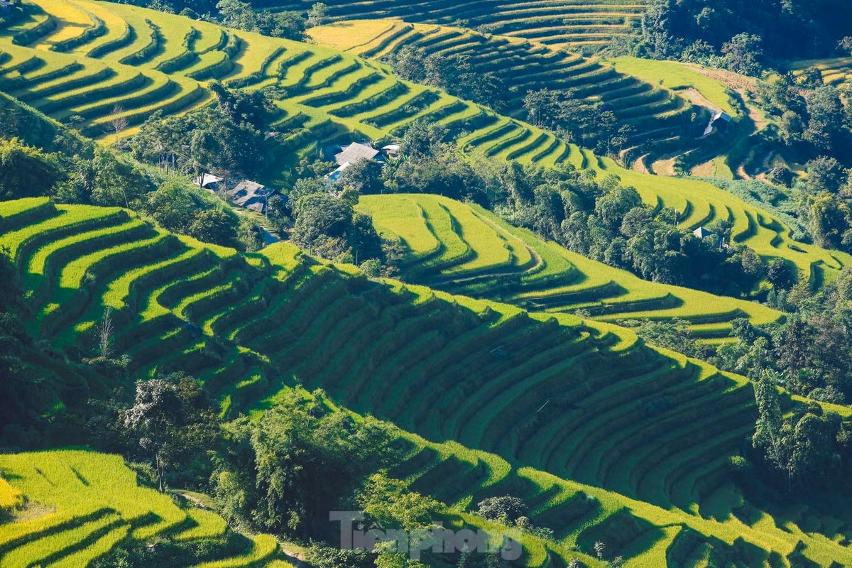 Những thửa ruộng bậc thang xếp tầng tầng lớp lớp, phủ kín những ngọn đồi giống như một tác phẩm nghệ thuật đầy ấn tượng.