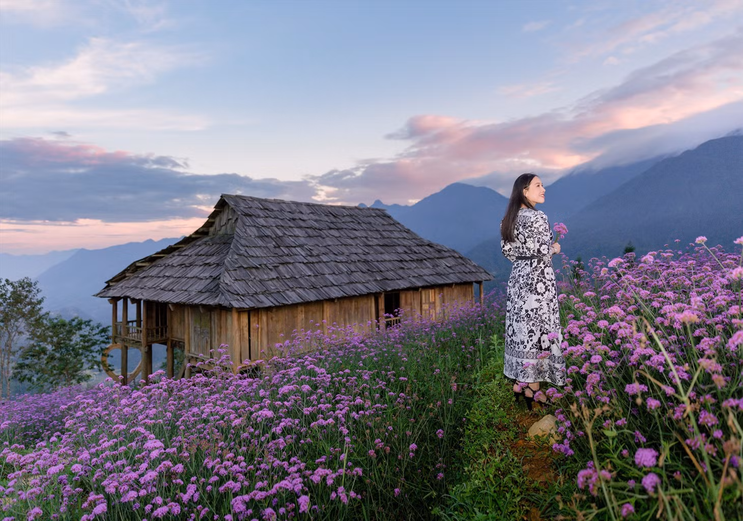 Ngôi nhà sàn mang phong cách truyền thống bản địa và rải rác giữa cánh đồng hoa là chiếc xích đu, ghế ngồi thô mộc, vừa là điểm dừng chân ngắm cảnh và cũng là bối cảnh cho những bức ảnh thật ấn tượng với cánh đồng hoa tím.