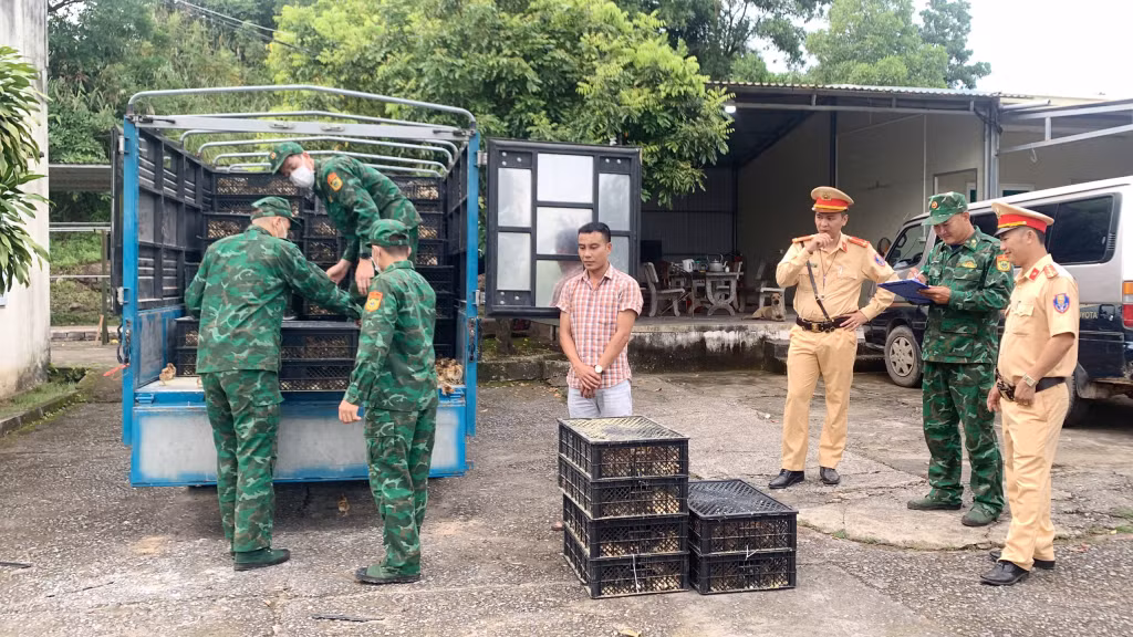 Người, phương tiện và tang vật bị lực lượng BĐBP bắt giữ.