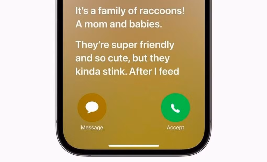 Live Voicemail: Đây là tính năng thư thoại hoàn toàn mới trên iOS 17. Tính năng này cho phép người dùng có thể chuyển cuộc gọi thành tin nhắn và được hiển thị trực tiếp ngay trên màn hình. Trong trường hợp không thể nghe điện thoại, người dùng vẫn có thể nắm bắt những thông tin quan trọng từ cuộc gọi đó.