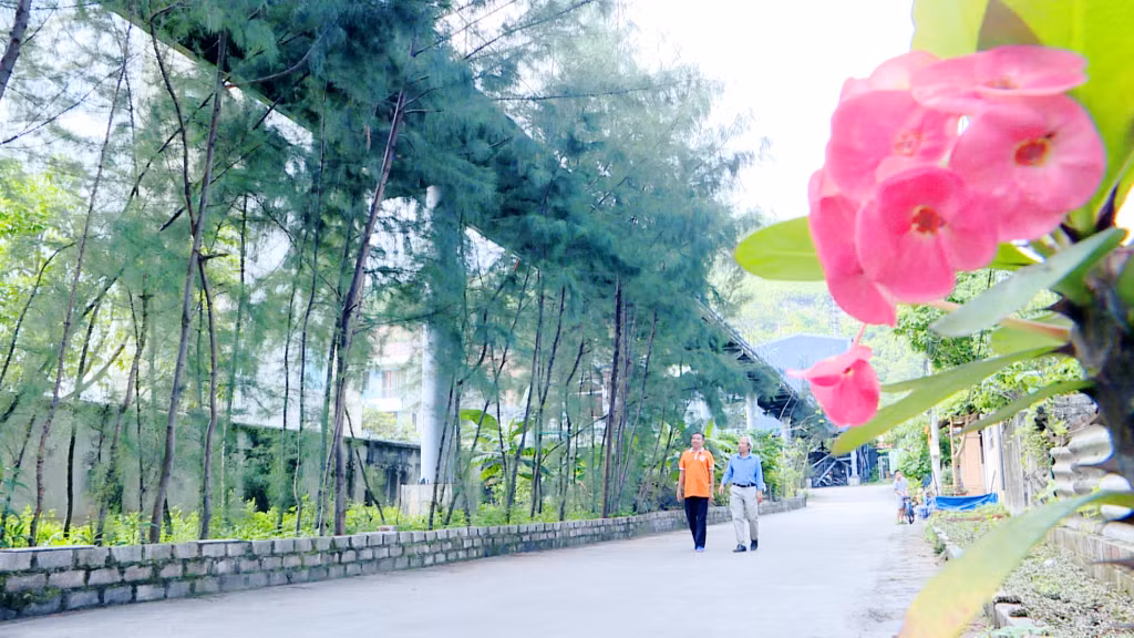 Ô tô vận chuyển than được thay thế bằng băng tải kín đã giúp môi trường các khu dân cư được cải thiện, nâng cao chất lượng cuộc sống người dân. 