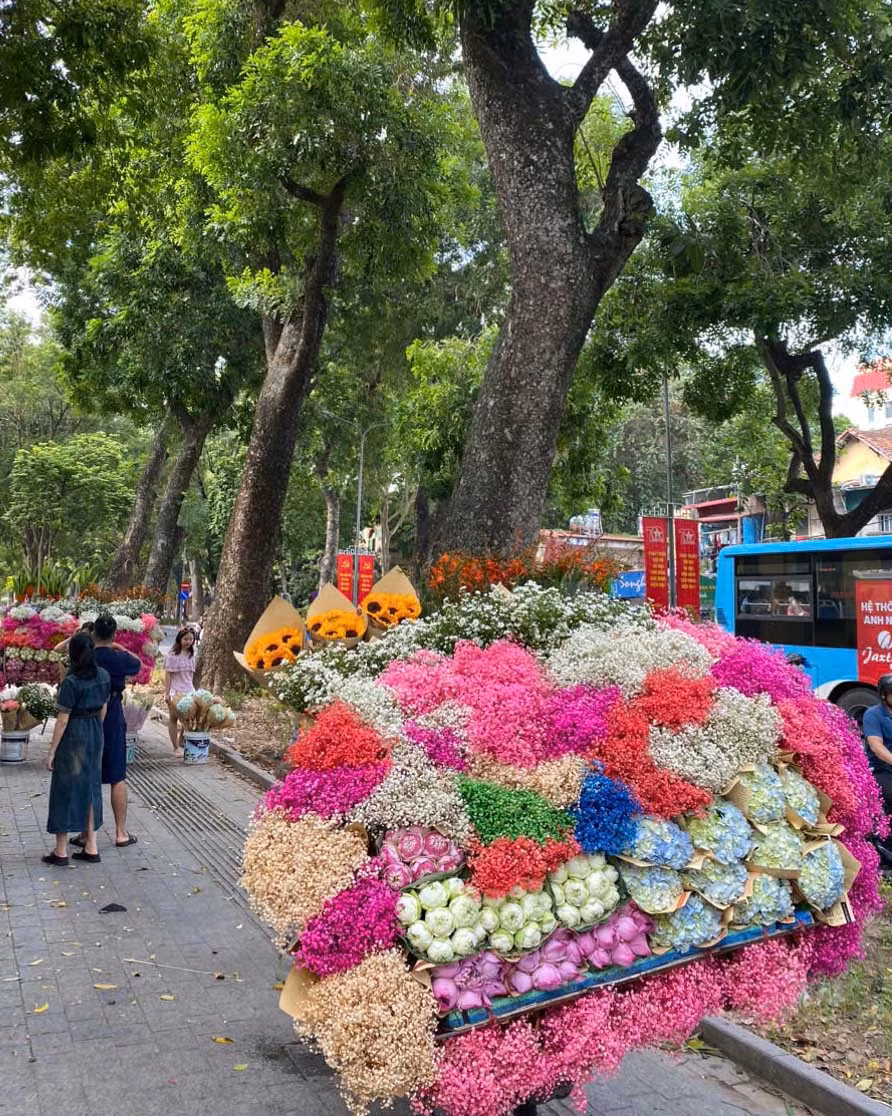 “Xe hoa” xếp ven đường để du khách có thể check-in những bức hình đẹp nhất. Ảnh: Ngọc Lương