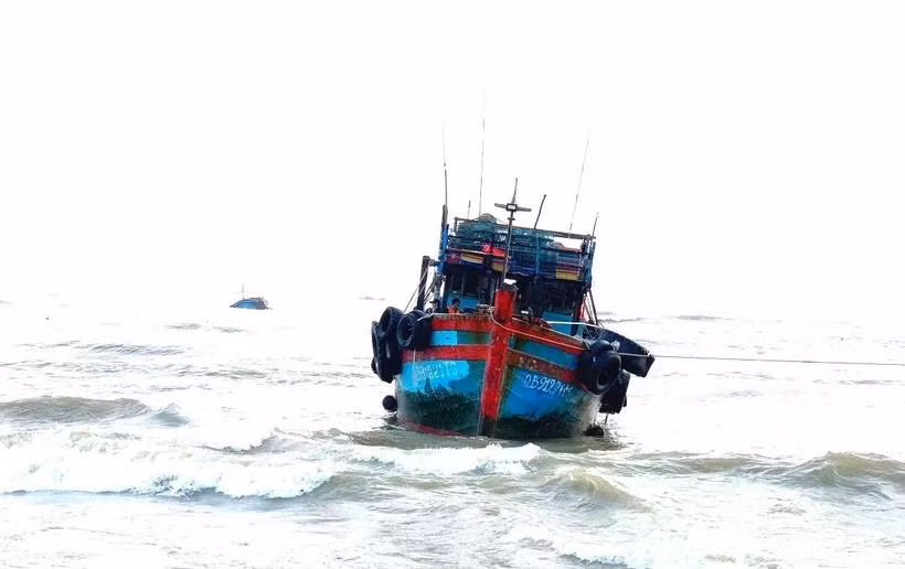 Ảnh minh họa. (Ảnh: TTXVN phát)