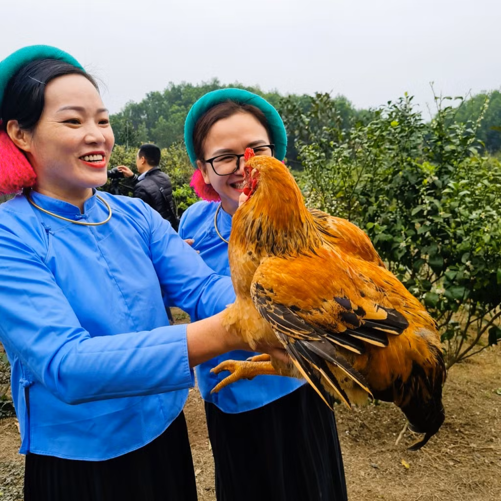 Người đồng bào DTTS ở Móng Cái tích cực phát triển kinh tế, giữ gìn phát huy văn hóa truyền thống dân tộc.