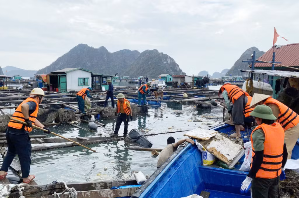 Các lực lượng chức năng và nhân dân phường Cẩm Đông tham gia dọn rác tại khu vực đảo Ông Cụ sau bão số 3.