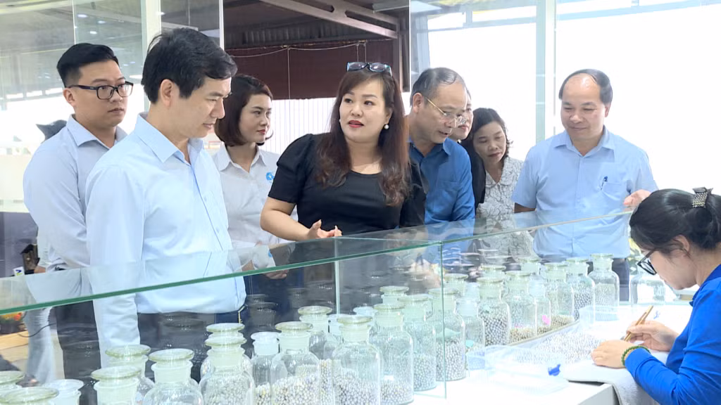 Thăm, động viên cán bộ, công nhân lao động Công ty CP Ngọc Trai Hạ Long vượt qua khó khăn, ổn định sản xuất kinh doanh.