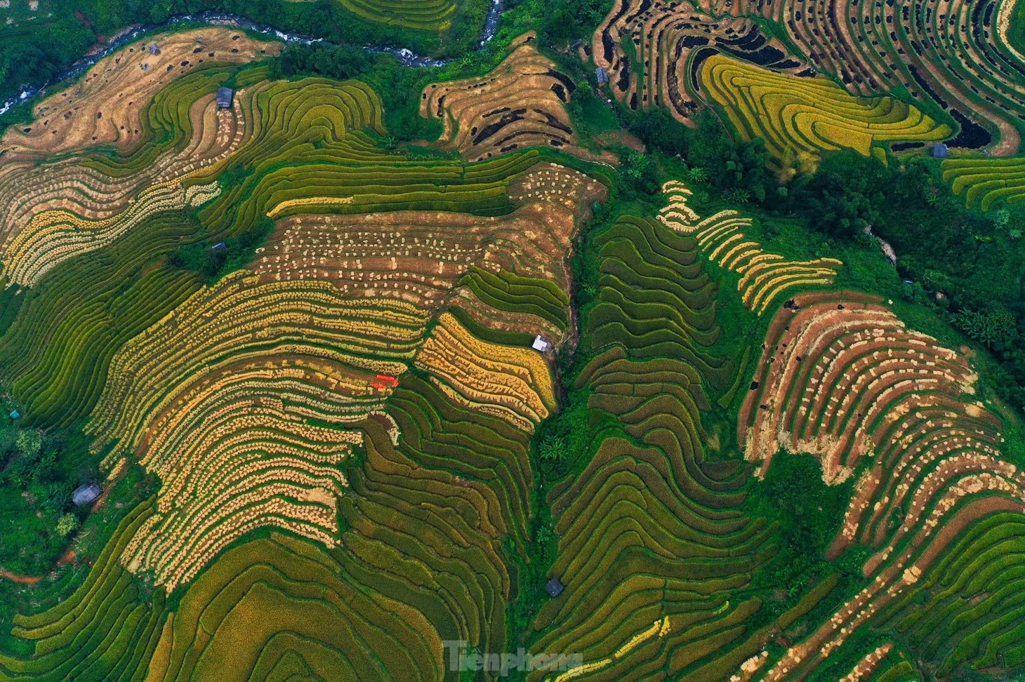 ... trở thành biểu tượng văn hóa của vùng núi phía Bắc, thu hút sự chú ý của du khách.