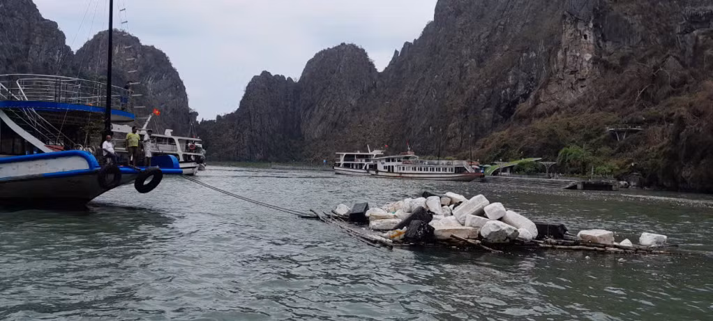 Tàu du lịch hỗ trợ kéo bè, phao xốp trôi nổi trên vịnh để làm sạch di sản.