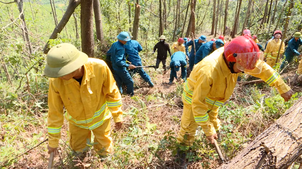 Huyện Đầm Hà huy động các lực lượng hỗ trợ người dân, đơn vị, công ty lâm nghiệp thu dọn, khắc phục thiệt hại và làm tốt công tác phòng chống cháy rừng sau ảnh hưởng của cơn bão số 3.