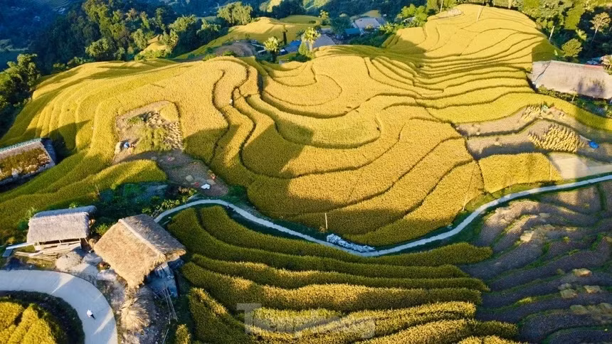Đến nay, sau nhiều thế hệ sinh sống, đồng bào dân tộc dao ở xã Xà Phìn vẫn giữ được bản làng với vẻ đẹp hoang sơ, cổ kính. Cuộc sống bình dị bên những thửa ruộng bậc thang của người dân nơi đây khiến du khách không muốn rời xa khi đến Xà Phìn.