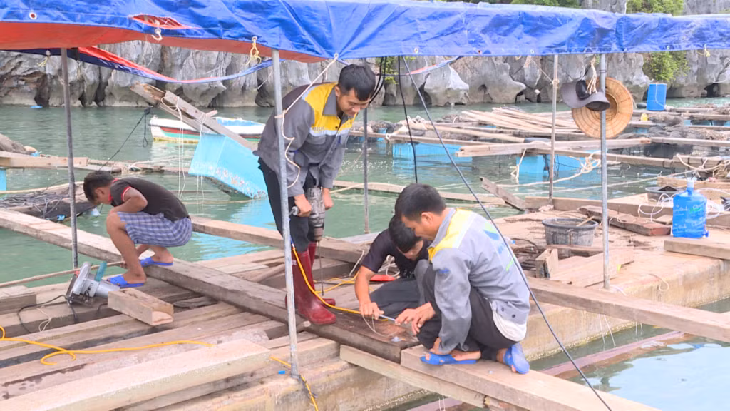 Anh Phạm Văn Thân, nuôi thủy sản ở khu vực Hòn Béo Cò, Thị trấn Cái Rồng là 1 trong 5 hộ đầu tiên được huyện Vân Đồn được giao khu vực biển đầu tiên.