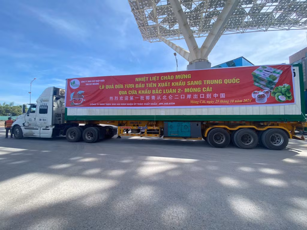 Lô hàng 23,5 tấn quả dừa tươi lần đầu tiên Xuất khẩu sang Trung Quốc qua Cửa khẩu cầu Bắc Luân 2, Móng Cái