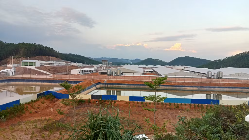 Dự án Trang trại chăn nuôi lợn công nghệ cao 