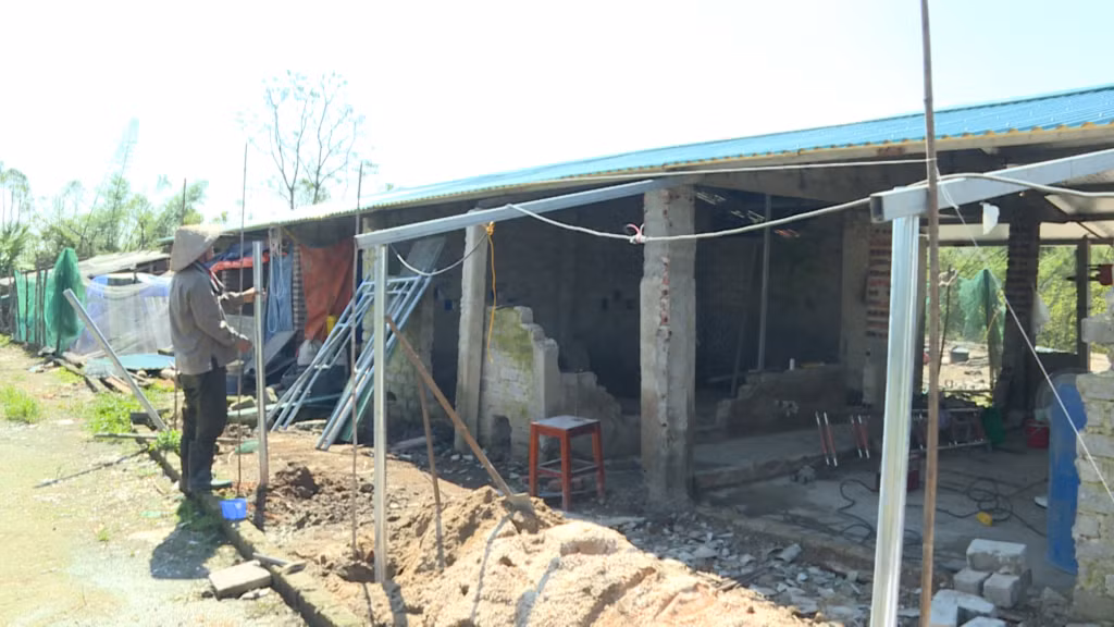Anh Đoàn Văn Mạnh, khu Biểu Nghi, phường Đông Mai, TX Quảng Yên đang sửa chữa chuồng trại chăn nuôi