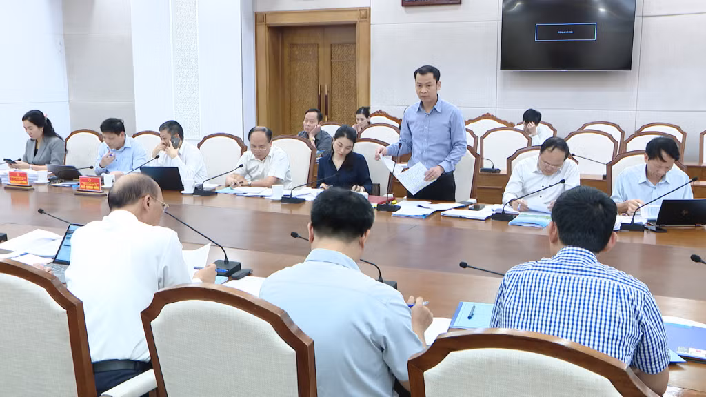 Giám đốc Sở Kế hoạch và Đầu tư phát biểu đóng góp ý kiến tại cuộc họp