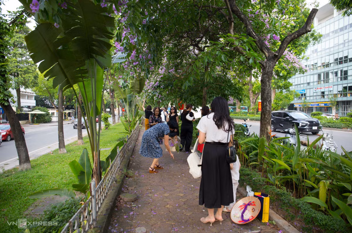 Người Hà Nội chen chân chụp ảnh hoa bằng lăng ảnh 7